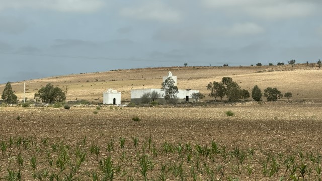IMG 1956