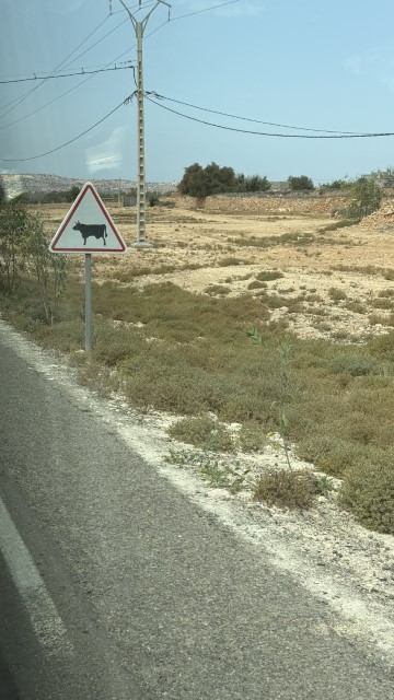 IMG 1959