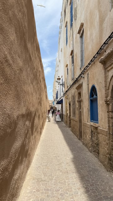 IMG 2011