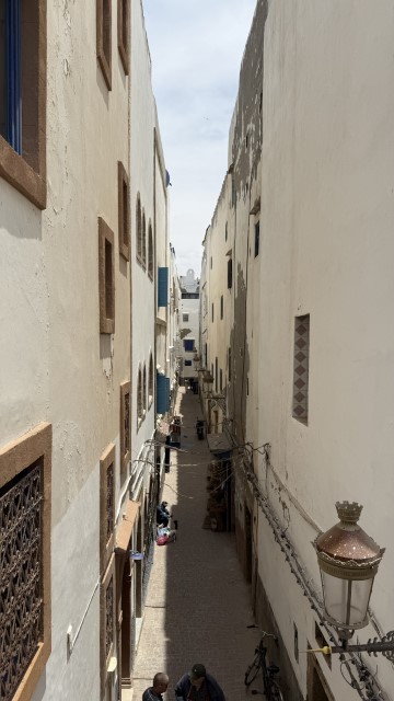 IMG 2039