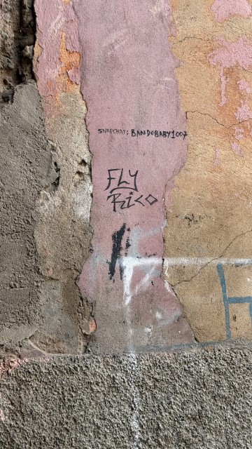 IMG 2307