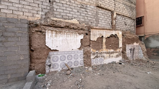IMG 2314