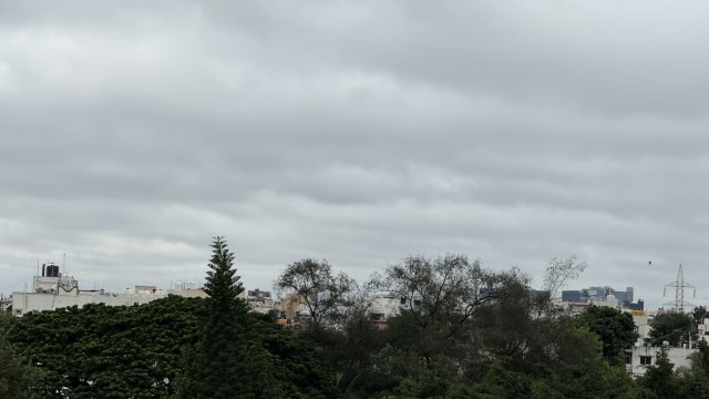 IMG 2432