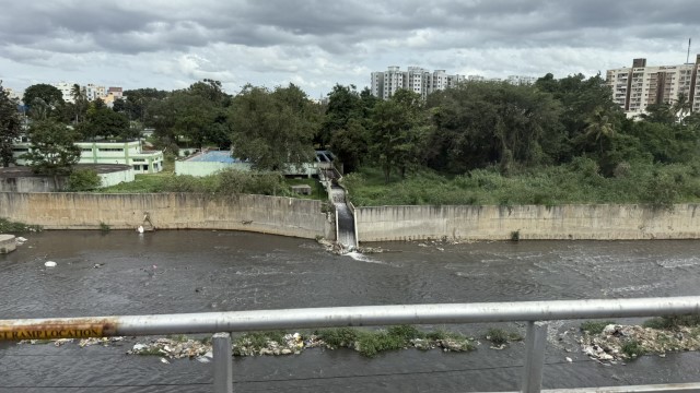 IMG 2693