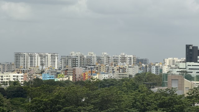 IMG 3943