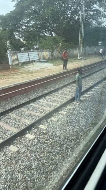 IMG 3350