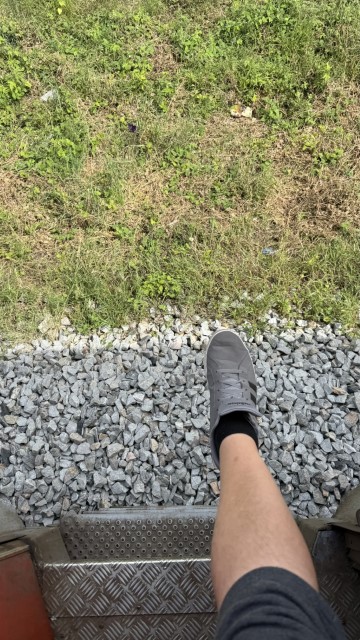 IMG 3374