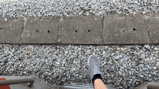 IMG 3395