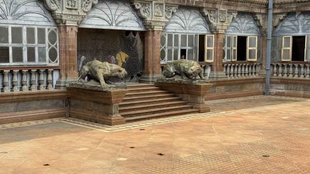 IMG 3523