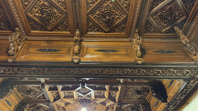 IMG 3529