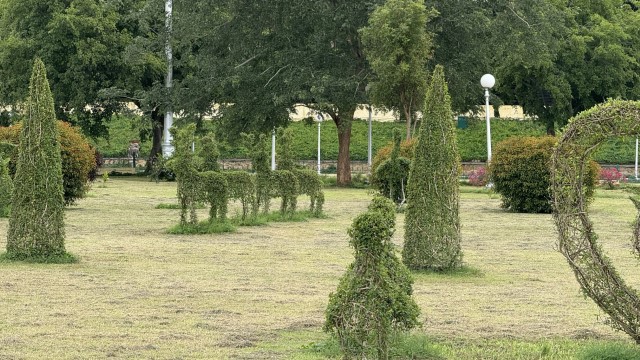 IMG 3684