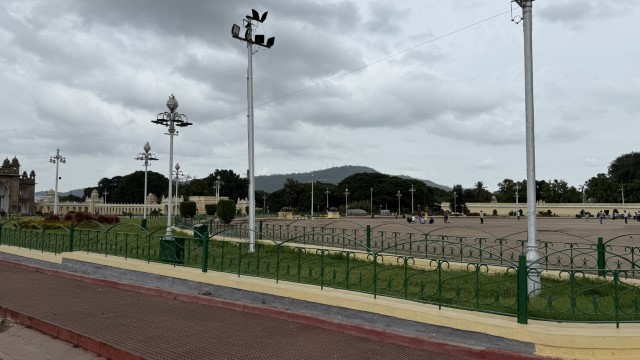 IMG 3690