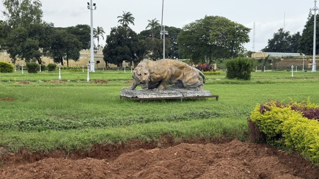 IMG 3694