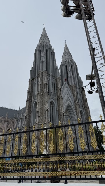 IMG 3733