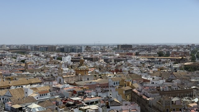 IMG 4461