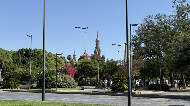 IMG 4548