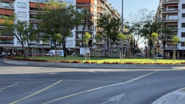 IMG 4578