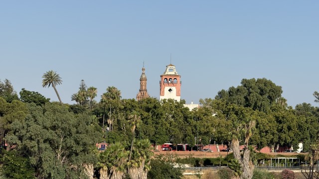 IMG 4582