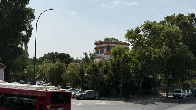 IMG 4649