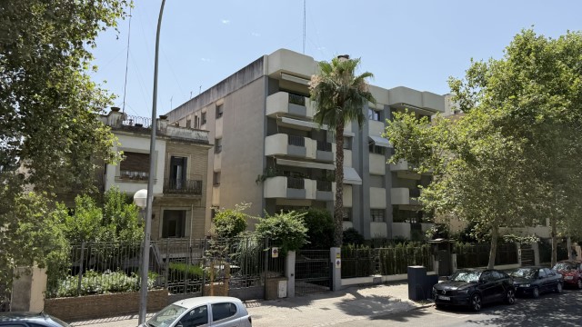 IMG 4753