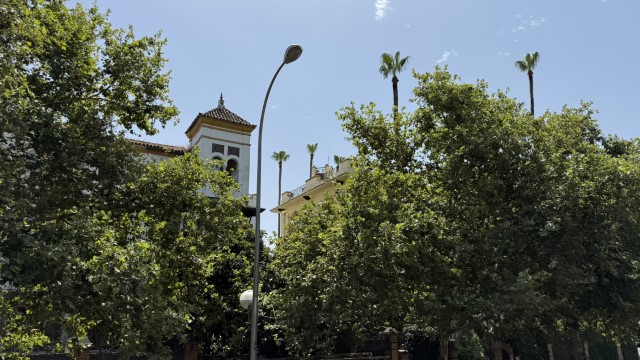 IMG 4754