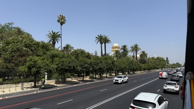 IMG 4785