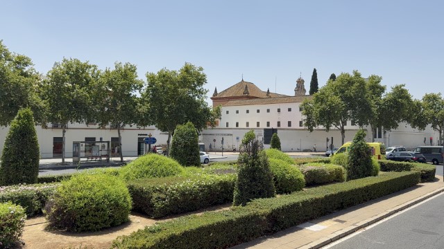 IMG 4883