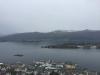 IMG 8774