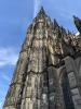 IMG 7041