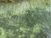 IMG 8684