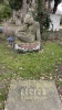 IMG 6282