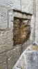 IMG 7176