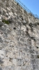 IMG 7219