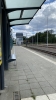 IMG 8971