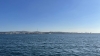 IMG 0570