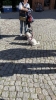 IMG 6977