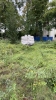 IMG 7427