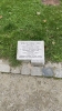 IMG 7440