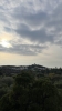 IMG 4231