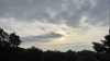 IMG 4258