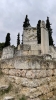 IMG 4560