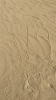 IMG 0034