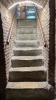 IMG 0464