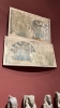 IMG 0797