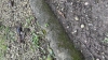 IMG 3107