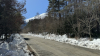 IMG 0370