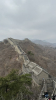 IMG 3600