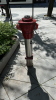 IMG 7930