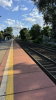 IMG 9731