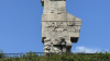 IMG 0238